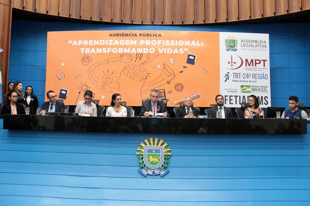 Em audiência pública, diretor do Senai destaca oportunidades profissionais para os jovens   